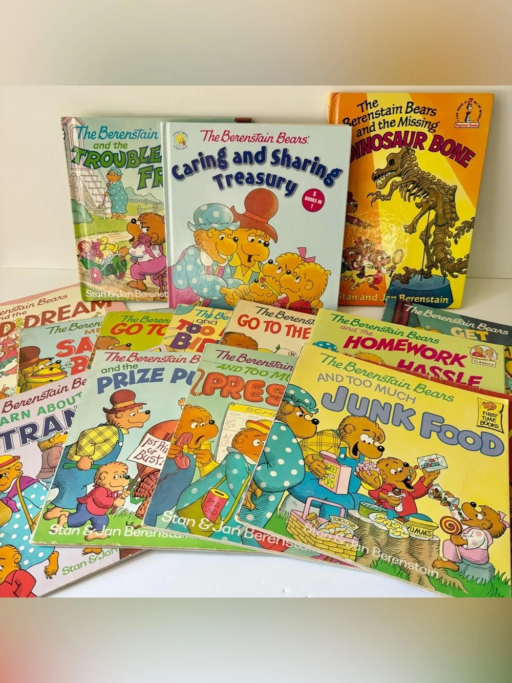 The Berenstain Bears Book Lot